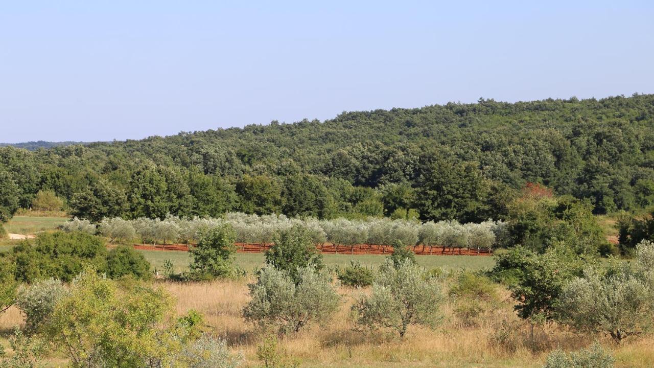 Casa Conte Istria Villa Kanfanar Buitenkant foto