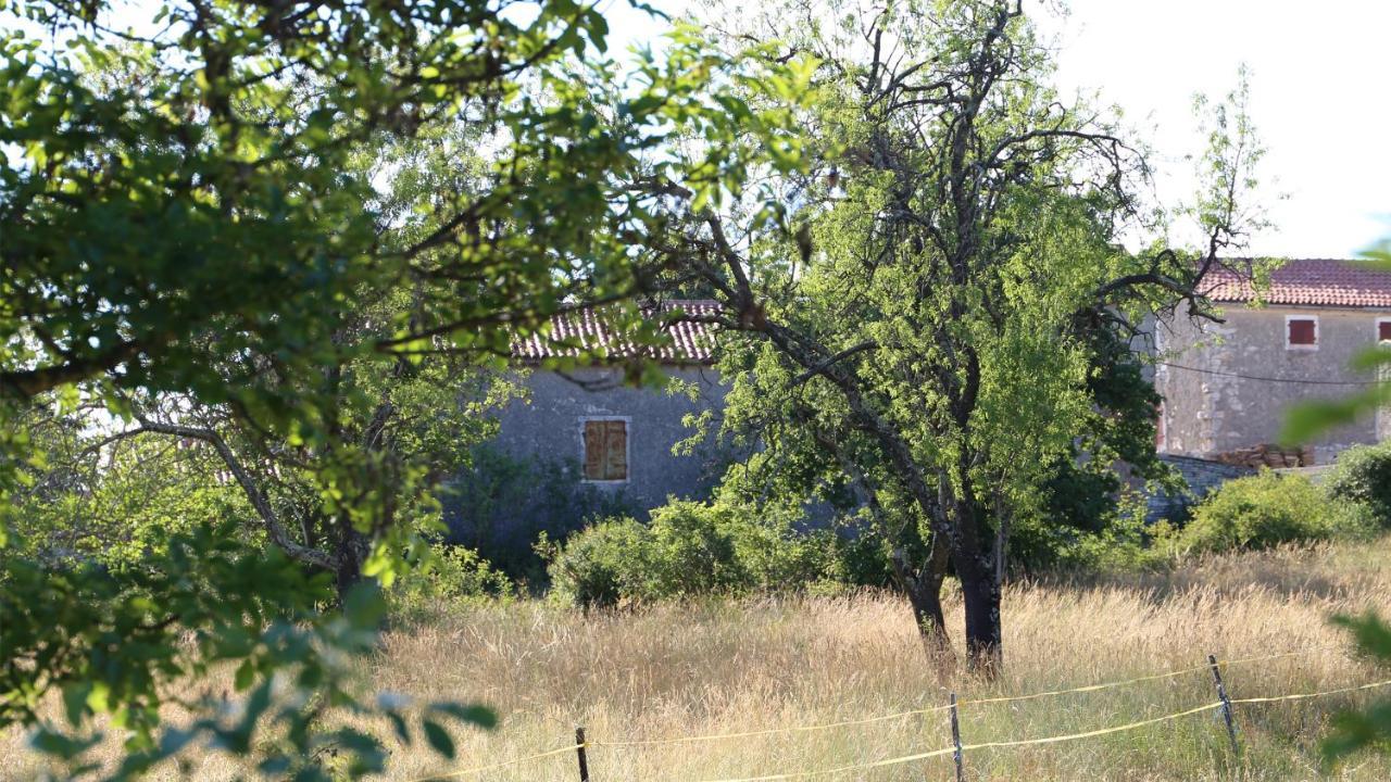 Casa Conte Istria Villa Kanfanar Buitenkant foto