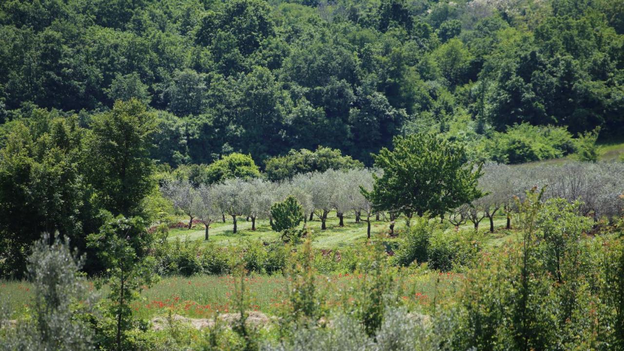 Casa Conte Istria Villa Kanfanar Buitenkant foto